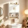 Wall Mounted Bathroom Cabinet with Towel Bars Medicine Cabinet Storage Shelf for Bathrooms