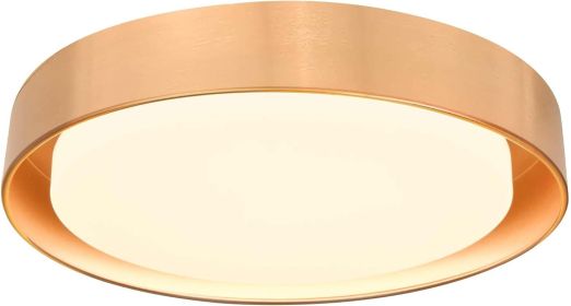 Hlite 13 inch Ceiling Light Fixture,Gold LED Flush Mount Ceiling Light, 3000K/Warm White/24W