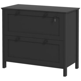 2 Drawer File Cabinet, Lockable Filing Cabinet with Adjustable Hanging Bar for Letter, A4 and Legal Size, Black (Option: BLACK)