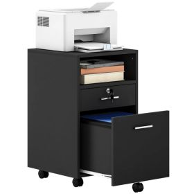 Small Filing Cabinet with 2 Drawers, Lockable Home Office Storage Cabinets on Wheels for A4, Letter Size, Black (Option: BLACK)